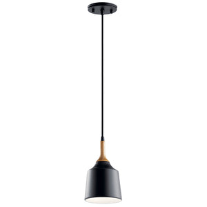 Kichler - 43682BK - One Light Mini Pendant - Danika - Black