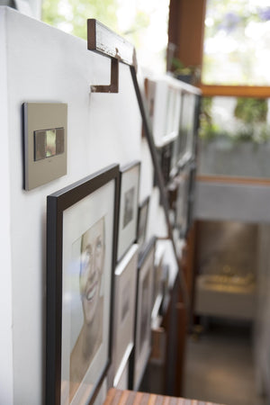 Legrand - AWP1G3MG4 - One-Gang-Plus Screwless Wall Plate with Microban - adorne - Magnesium
