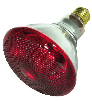 Satco - S4751-TF - Light Bulb