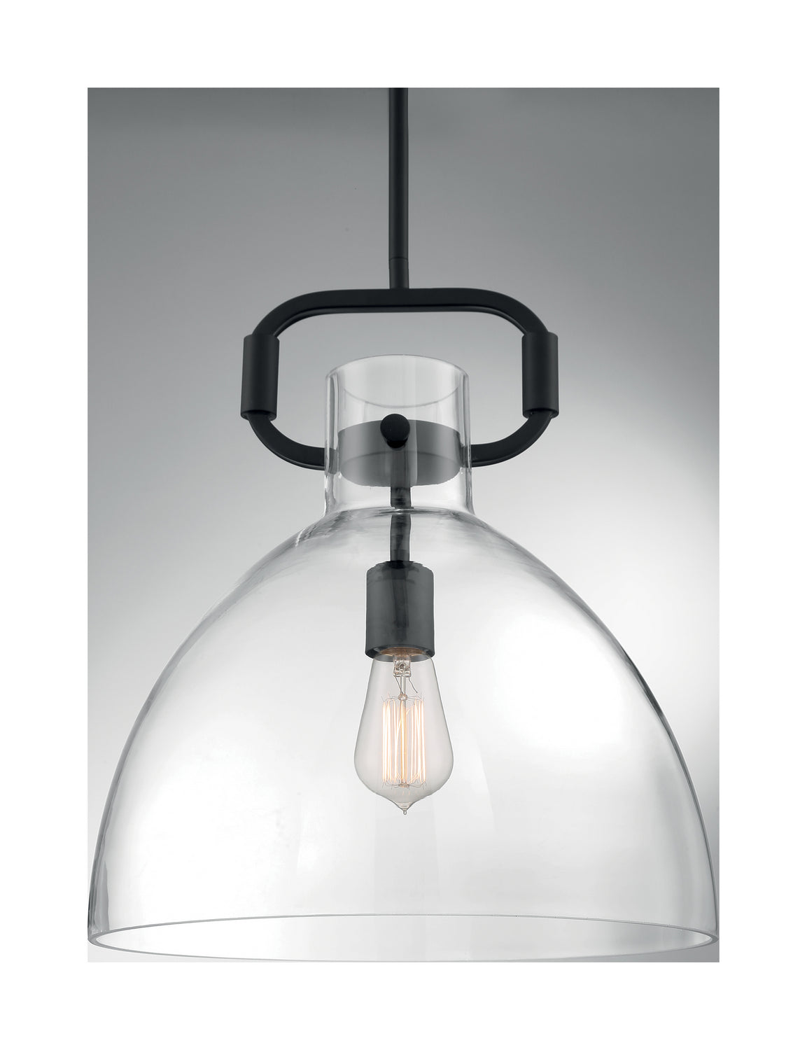 Nuvo Lighting - 60-7152 - One Light Pendant - Teresa - Matte Black