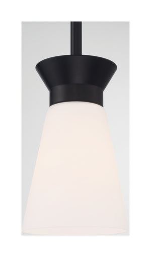 Nuvo Lighting - 60-7314 - One Light Mini Pendant - Caleta - Black