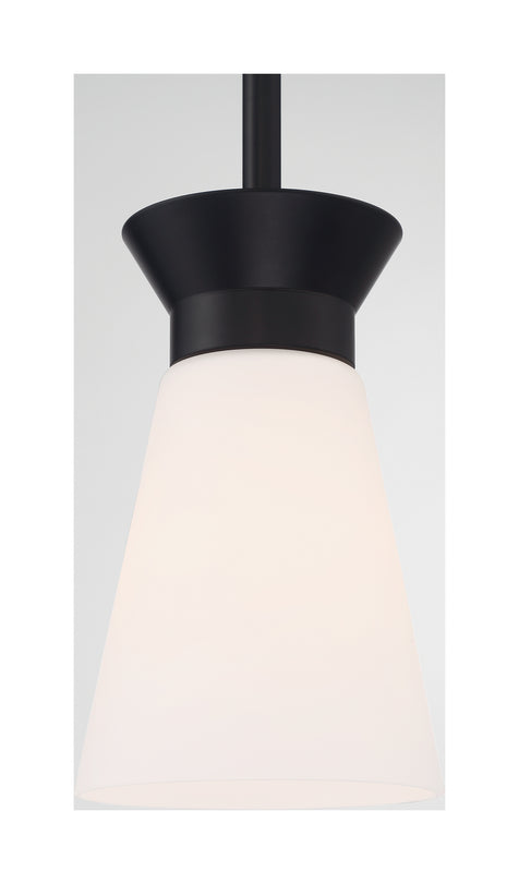 Nuvo Lighting - 60-7314 - One Light Mini Pendant - Caleta - Black