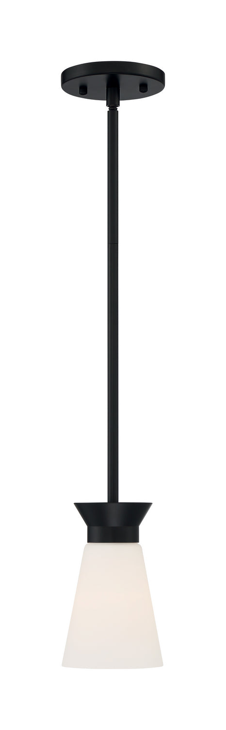 Nuvo Lighting - 60-7314 - One Light Mini Pendant - Caleta - Black