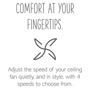 Legrand - AAFN4S16AG4 - Paddle Fan Speed Control Switch with Microban - adorne - Graphite