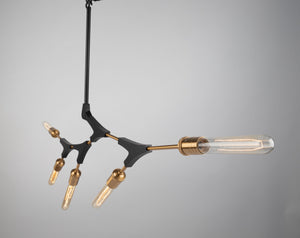 Artcraft - AC11535 - Five Light Chandelier - Filiali - Black & Harvest Brass