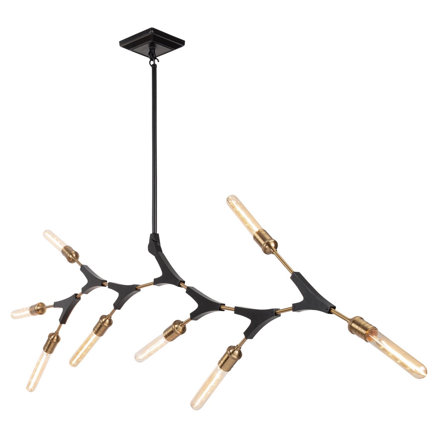 Artcraft - AC11538 - Eight Light Chandelier - Filiali - Black & Harvest Brass