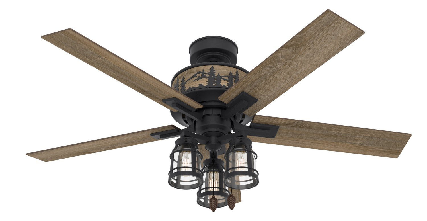 Hunter - 50169 - 52" Ceiling Fan - Vista - Natural Black Iron
