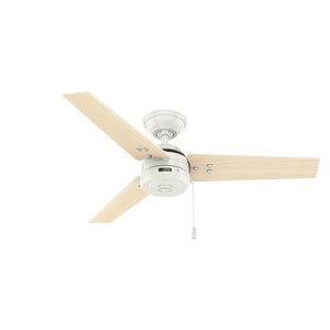 Hunter - 50262 - 44" Ceiling Fan - Cassius - Fresh White