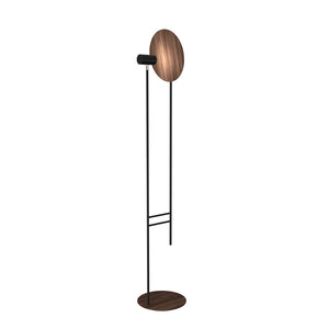 Accord Lighting - 3126.18 - Two Light Floor Lamp - Dot - American Walnut