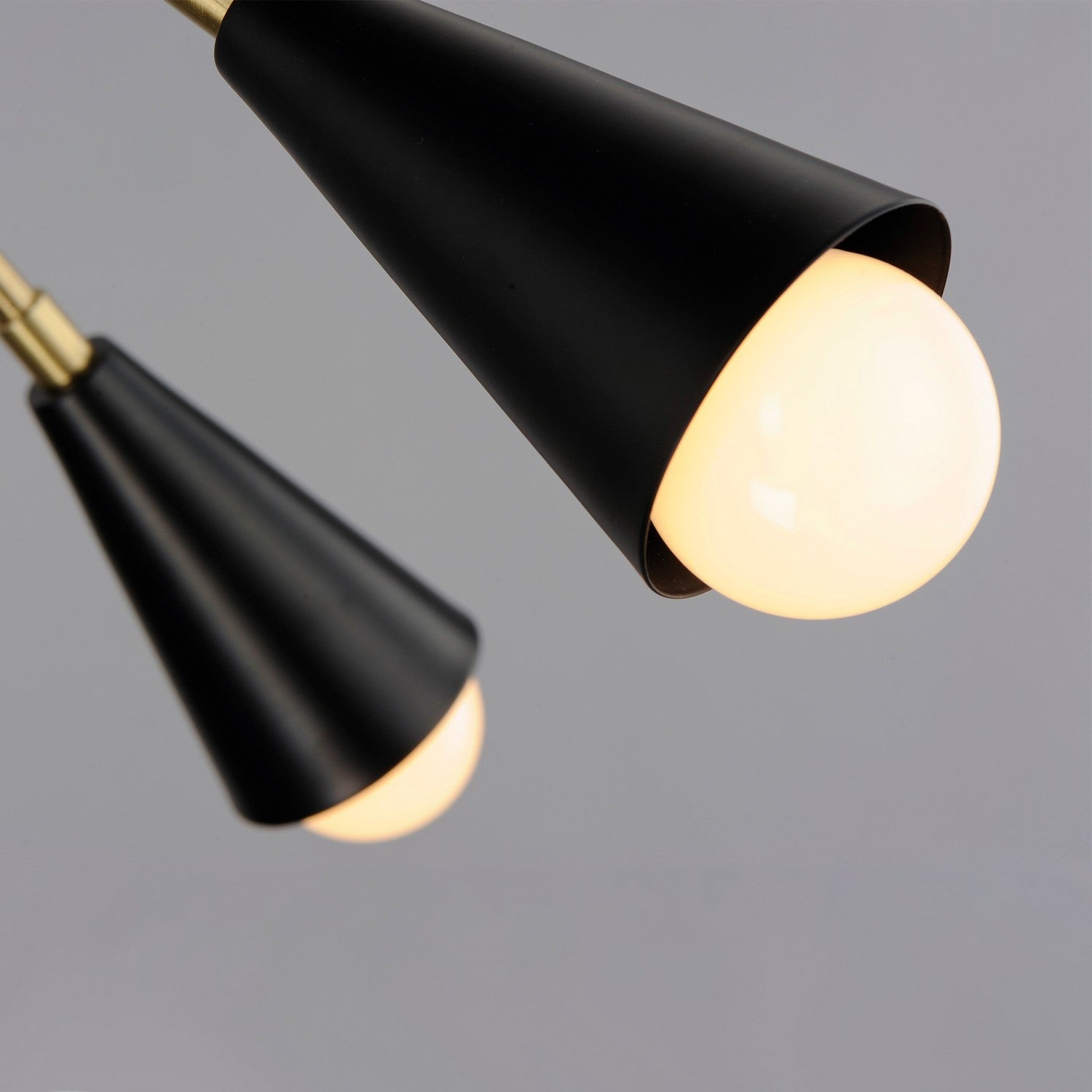 Maxim - 11268BKSBR - Ten Light Pendant - Lovell - Black / Satin Brass