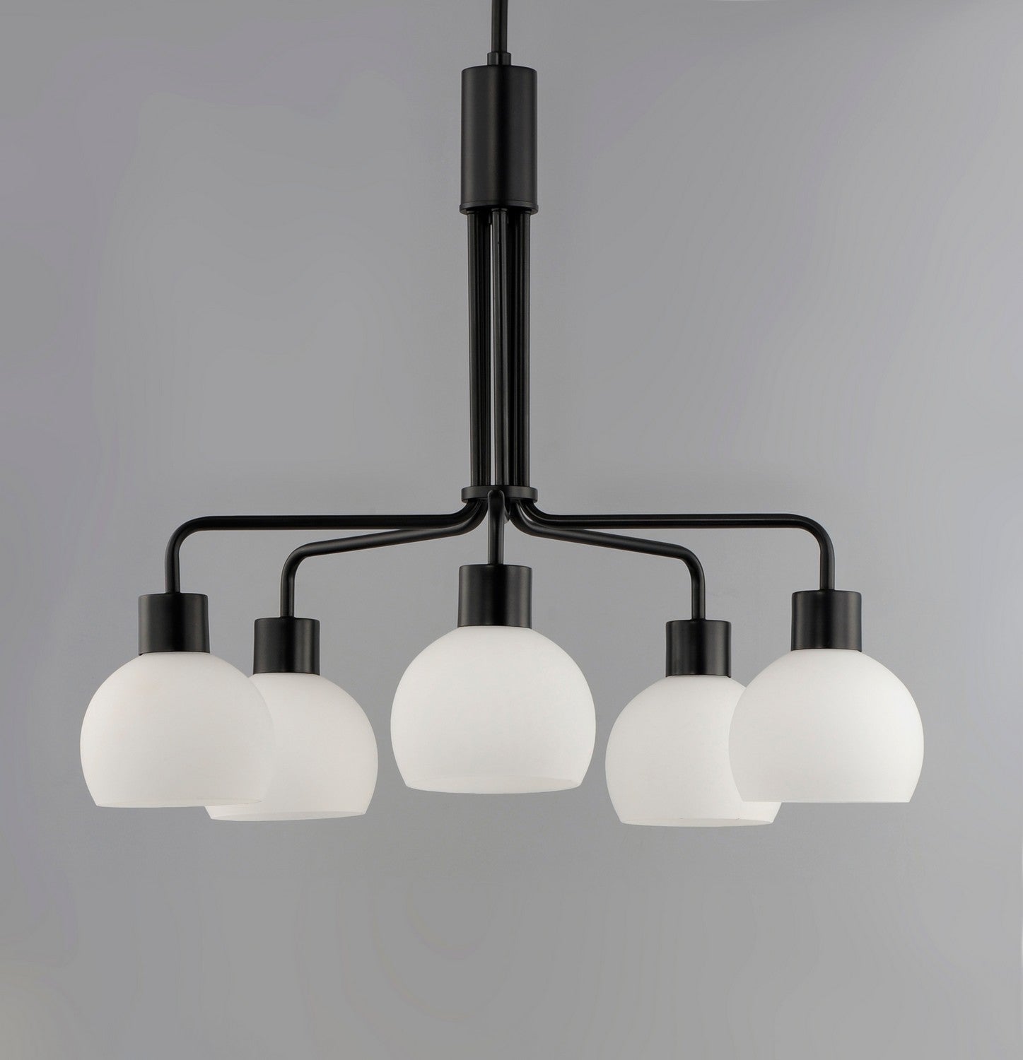 Maxim - 11277SWBK - Five Light Chandelier - Coraline - Black