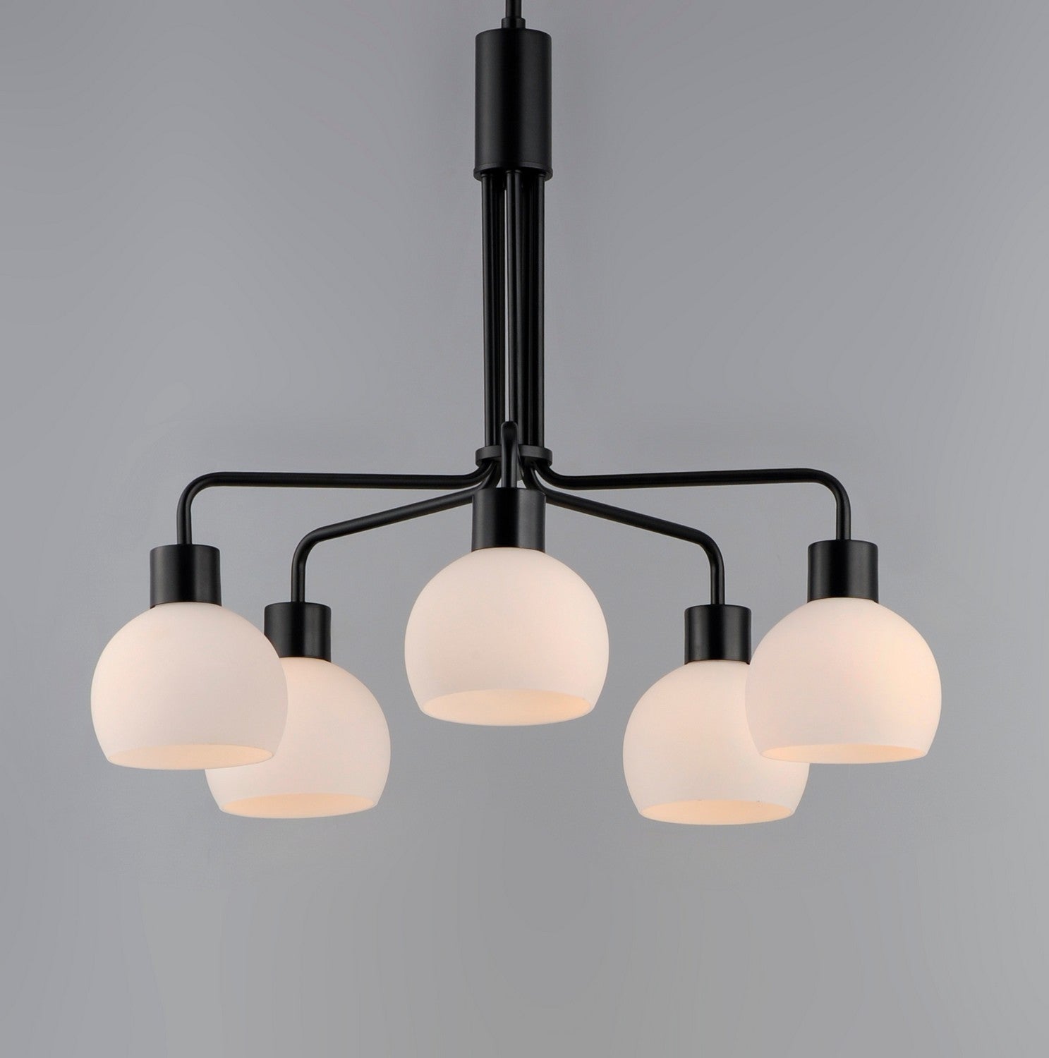 Maxim - 11277SWBK - Five Light Chandelier - Coraline - Black