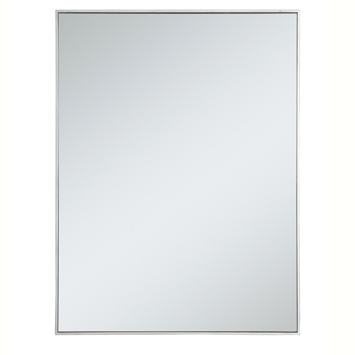 Elegant Lighting - MR43648S - Mirror - Monet - Silver