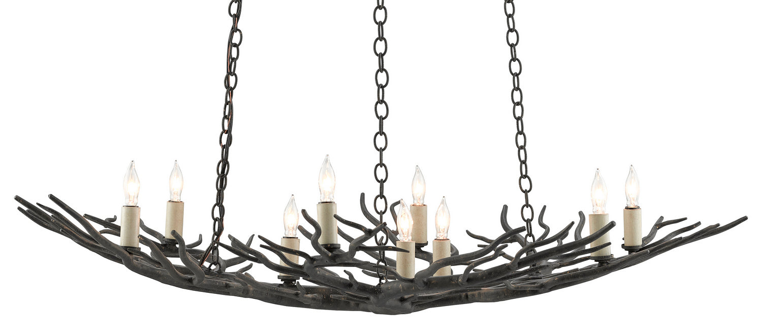 Currey and Company - 9000-0555 - Nine Light Chandelier - Rainforest - Rustic Bronze