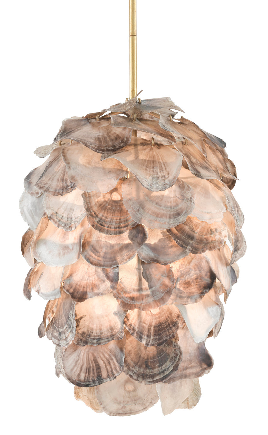 Currey and Company - 9000-0736 - One Light Pendant - Cruselle - Contemporary Gold Leaf/Painted Gold/Natural Shell