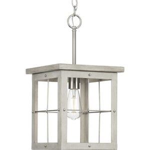 Progress Lighting - P500317-009 - One Light Pendant - Hedgerow - Brushed Nickel