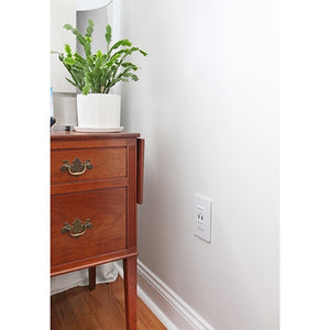 Legrand - TM826USBW - 15A Tamper-Resistant USB Outlet - radiant - White