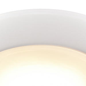 ELK Home - MLE1590-5-30 - LED Flush Mount - Plandome - White