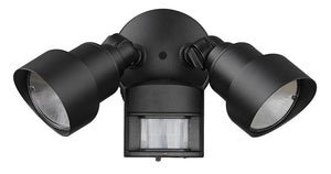 Acclaim Lighting - LFL2BKM - LED Floodlight - LED Floodlights - Matte Black