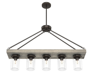 Hunter - 19006 - Five Light Chandelier - Devon Park - Onyx Bengal