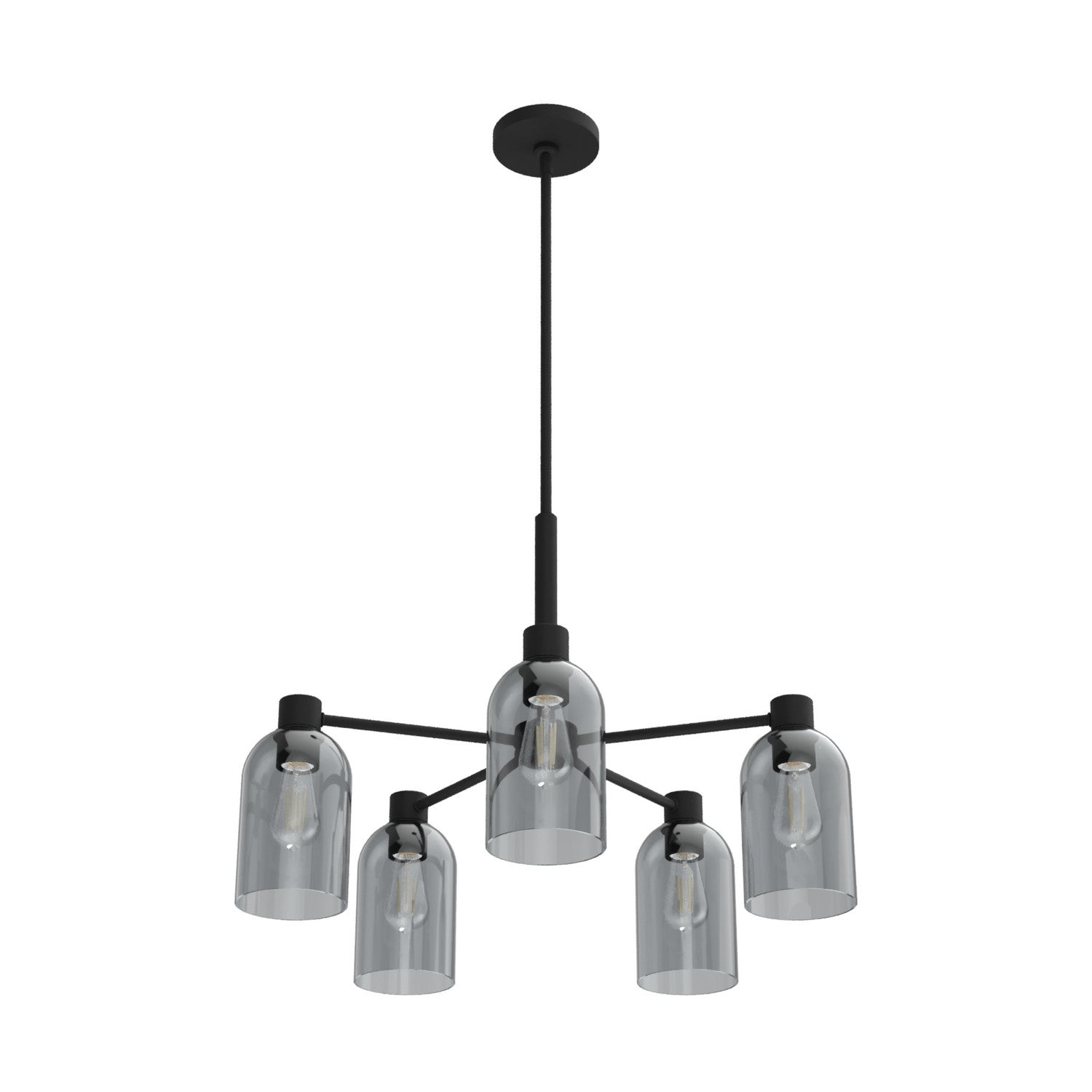 Hunter - 19198 - Five Light Chandelier - Lochemeade - Natural Black Iron