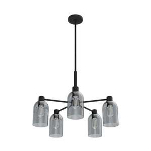 Hunter - 19198 - Five Light Chandelier - Lochemeade - Natural Black Iron
