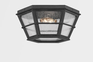 Troy Lighting - C2514-FRN - Two Light Flush Mount - Lake County - French Iron