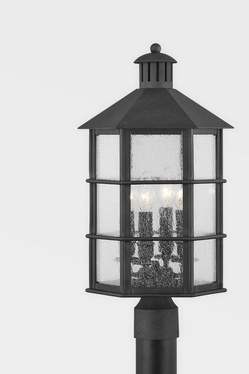 Troy Lighting - P2522-FRN - Four Light Outdoor Post - Lake County - French Iron