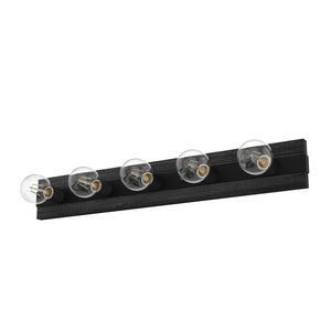 Hunter - 19063 - Five Light Bathroom Vanity - Donelson - Natural Black Iron