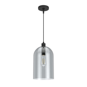Hunter - 19204 - One Light Pendant - Lochemeade - Natural Black Iron