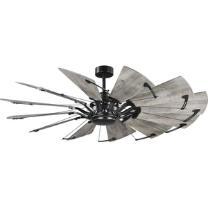 Progress Lighting - P250000-31M - 60" Ceiling Fan - Springer - Matte Black