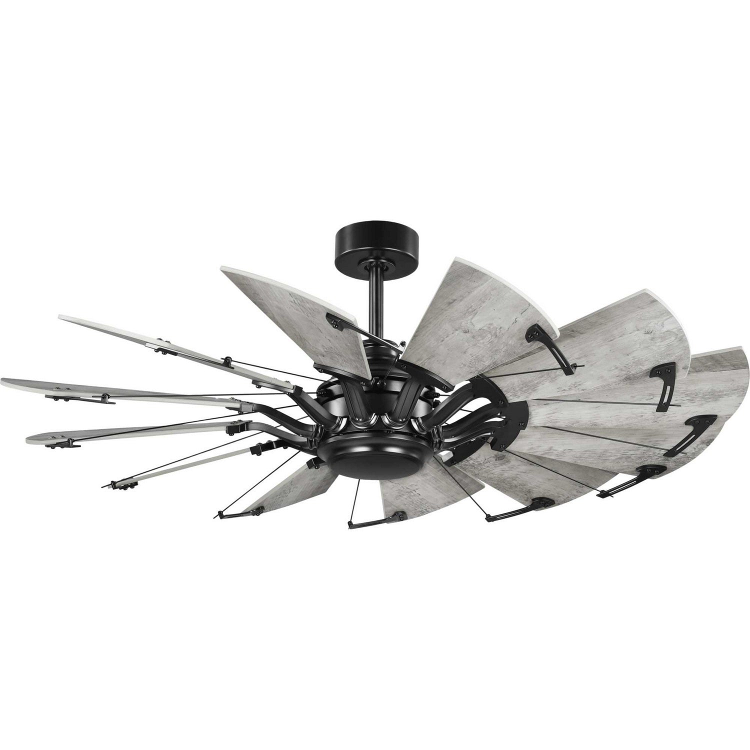 Progress Lighting - P250065-31M - 52"Ceiling Fan - Springer - Matte Black