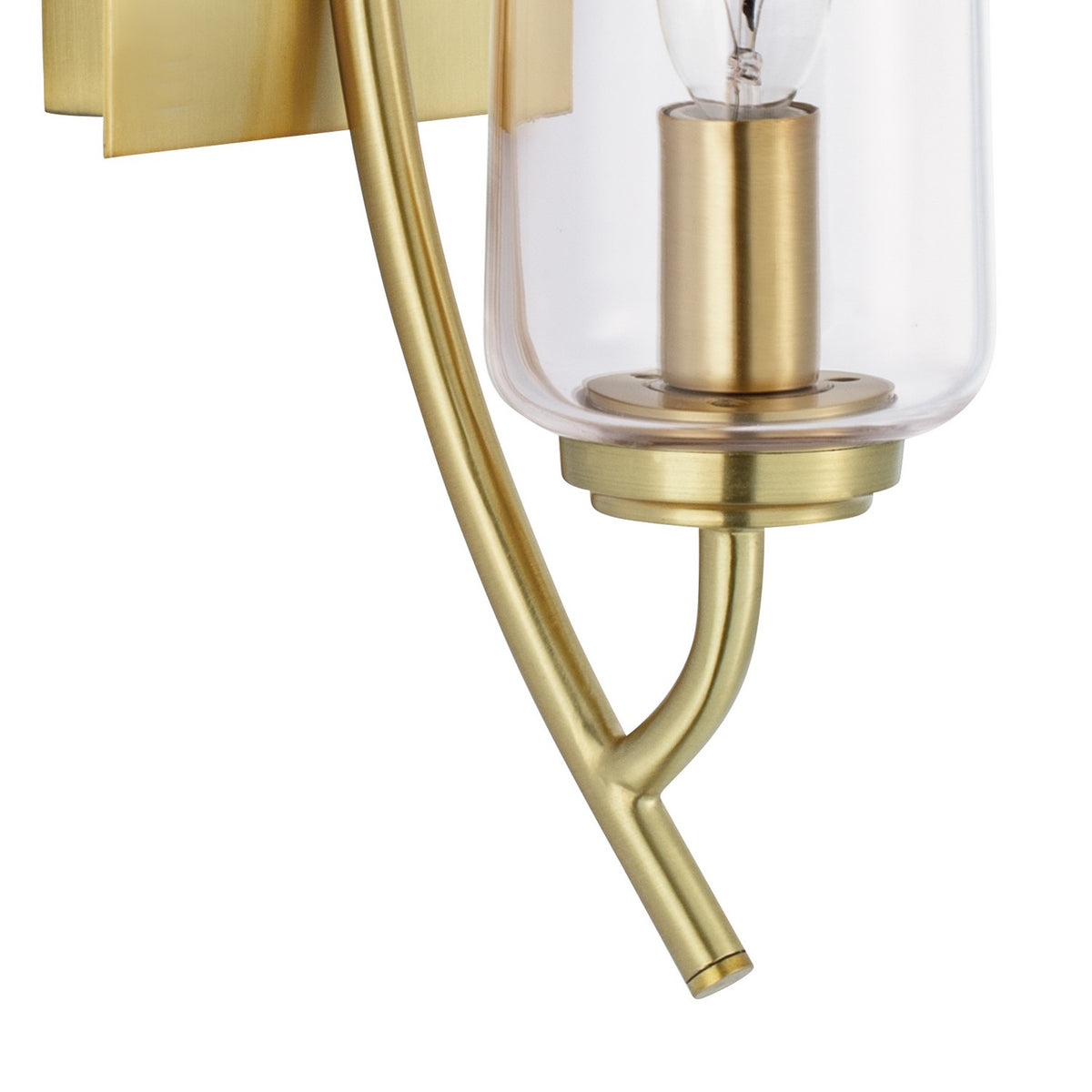 Norwell Lighting - 8153-SB-CL - One Light Wall Sconce - Tulip - Satin Brass