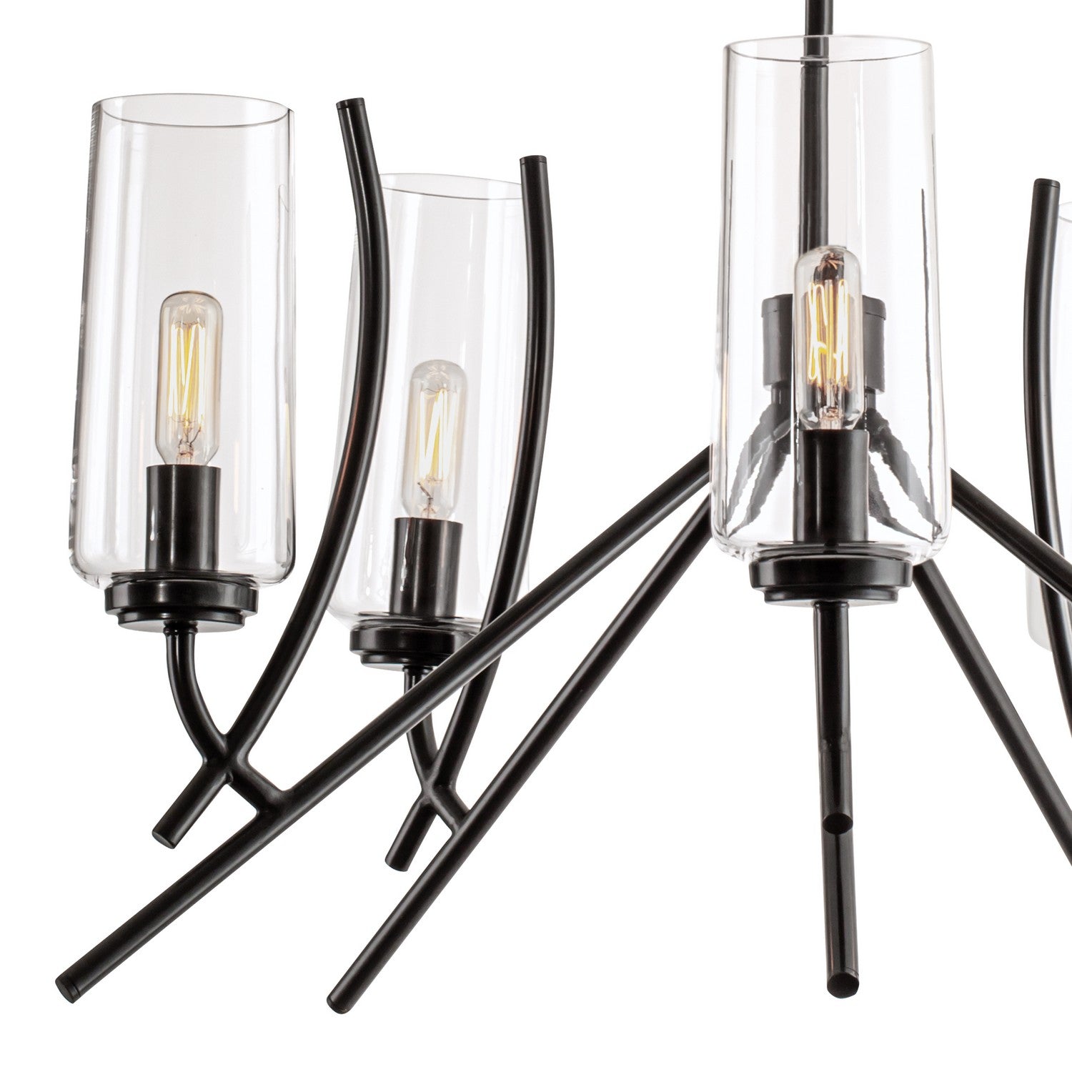 Norwell Lighting - 8154-ADB-CL - Five Light Chandelier - Tulip - Acid Dipped Black