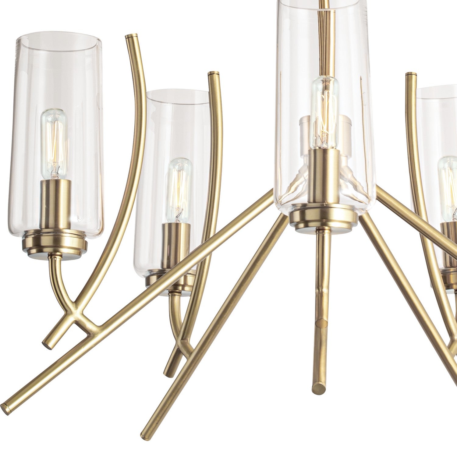 Norwell Lighting - 8154-SB-CL - Five Light Chandelier - Tulip - Satin Brass