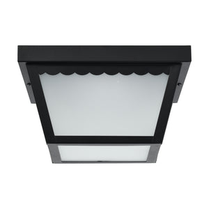 Nuvo Lighting - 62-1572 - LED Flush Mount - Black