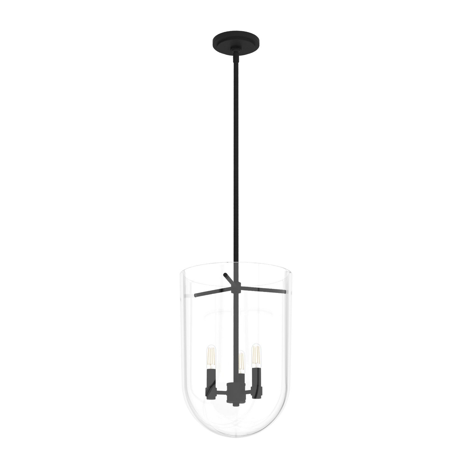 Hunter - 19318 - Three Light Pendant - Sacha - Natural Black Iron