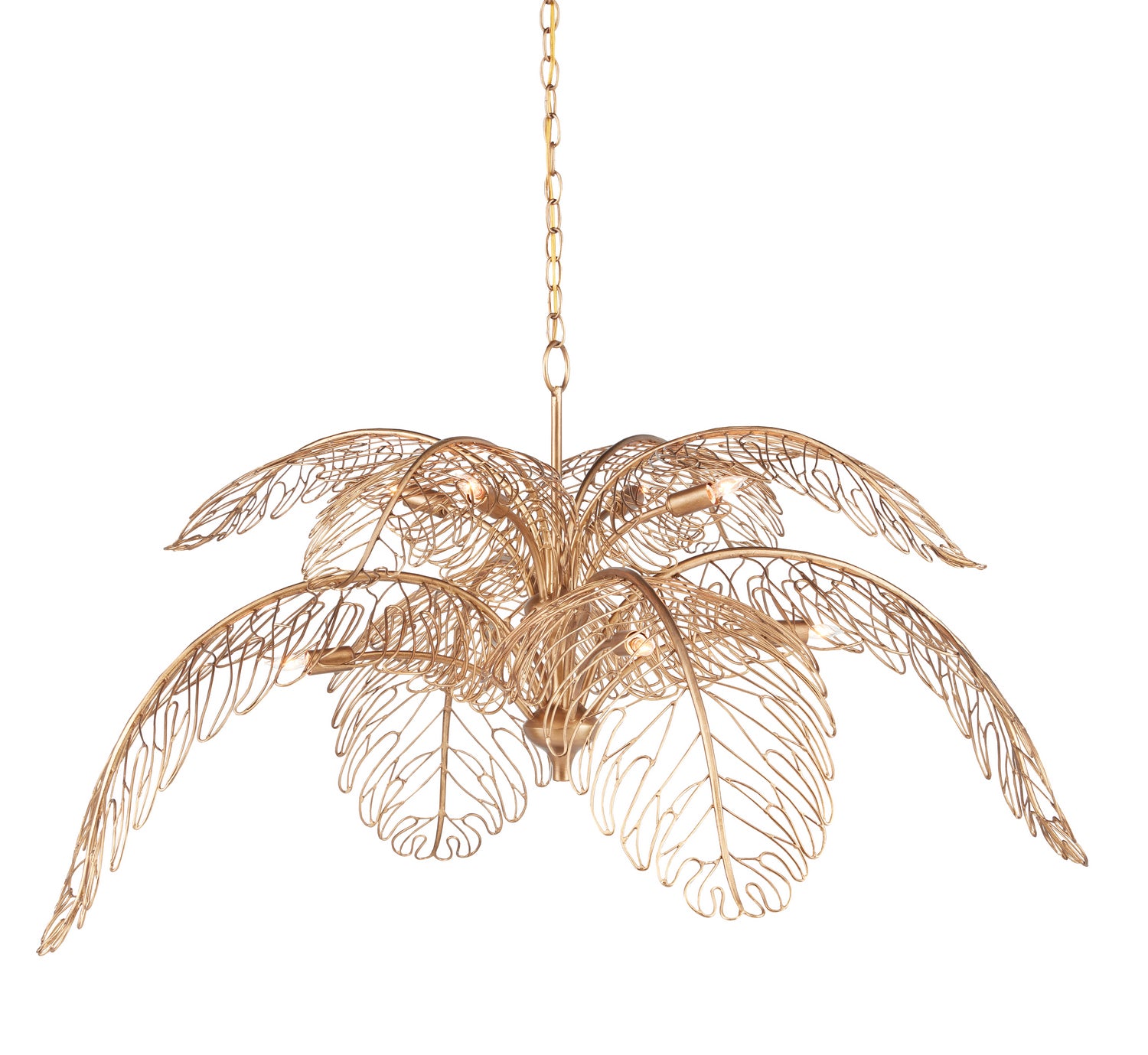 Currey and Company - 9000-0847 - Eight Light Chandelier - Taormina - Brass