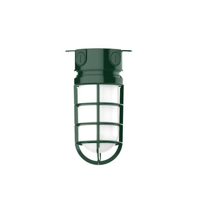 Montclair Light Works - FMC050-42 - One Light Flush Mount - Vaportite - Forest Green