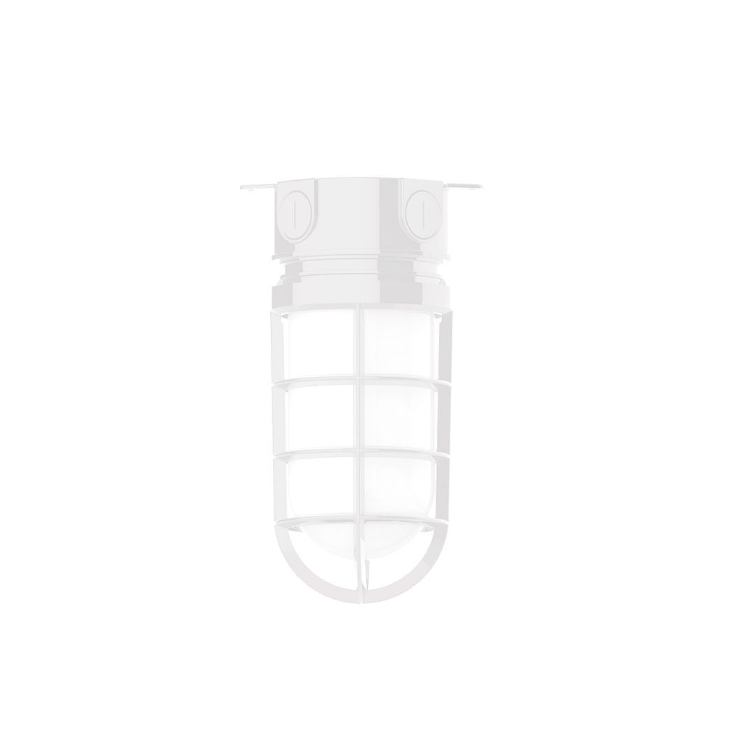 Montclair Light Works - FMC050-44 - One Light Flush Mount - Vaportite - White