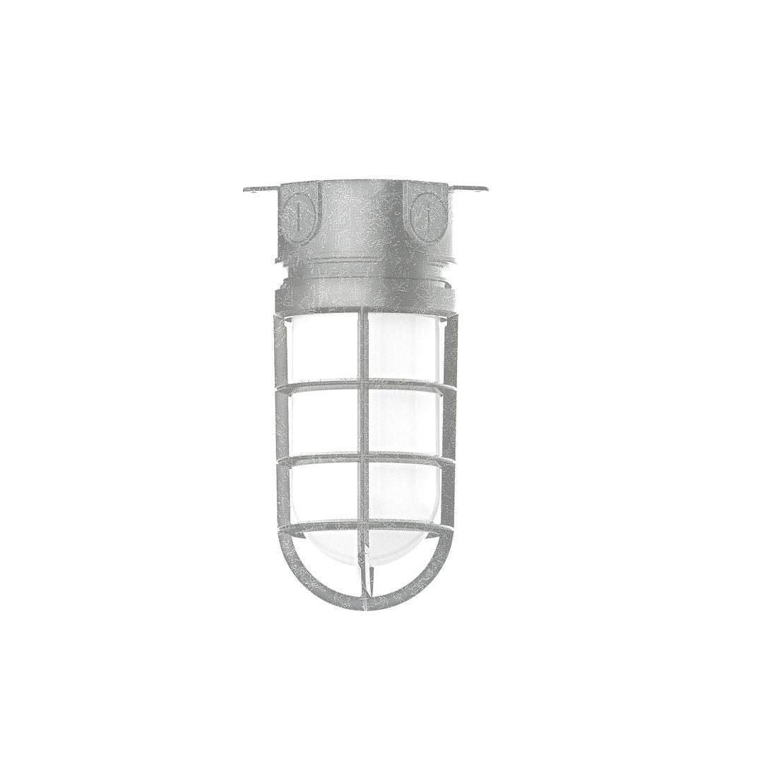 Montclair Light Works - FMC050-49 - One Light Flush Mount - Vaportite - Painted Galvanized