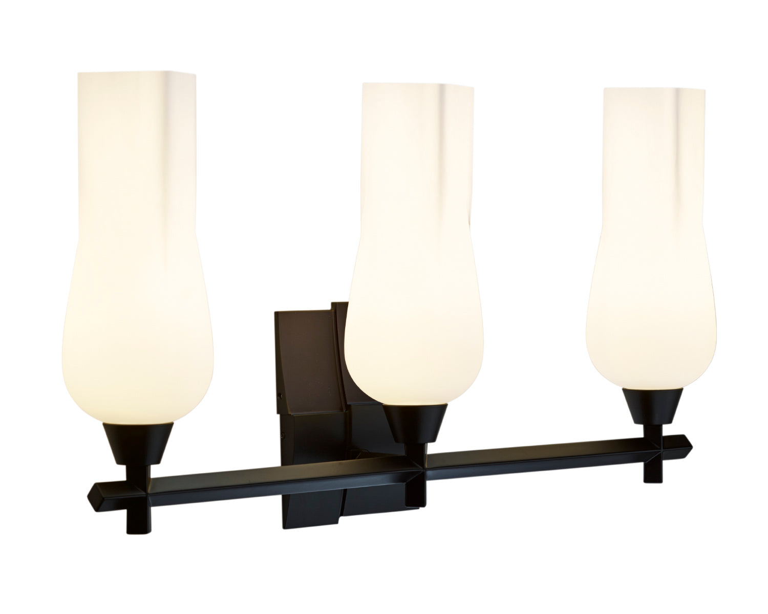 Norwell Lighting - 8177-MB-MO - Three Light Vanity - Fleur - Matte Black