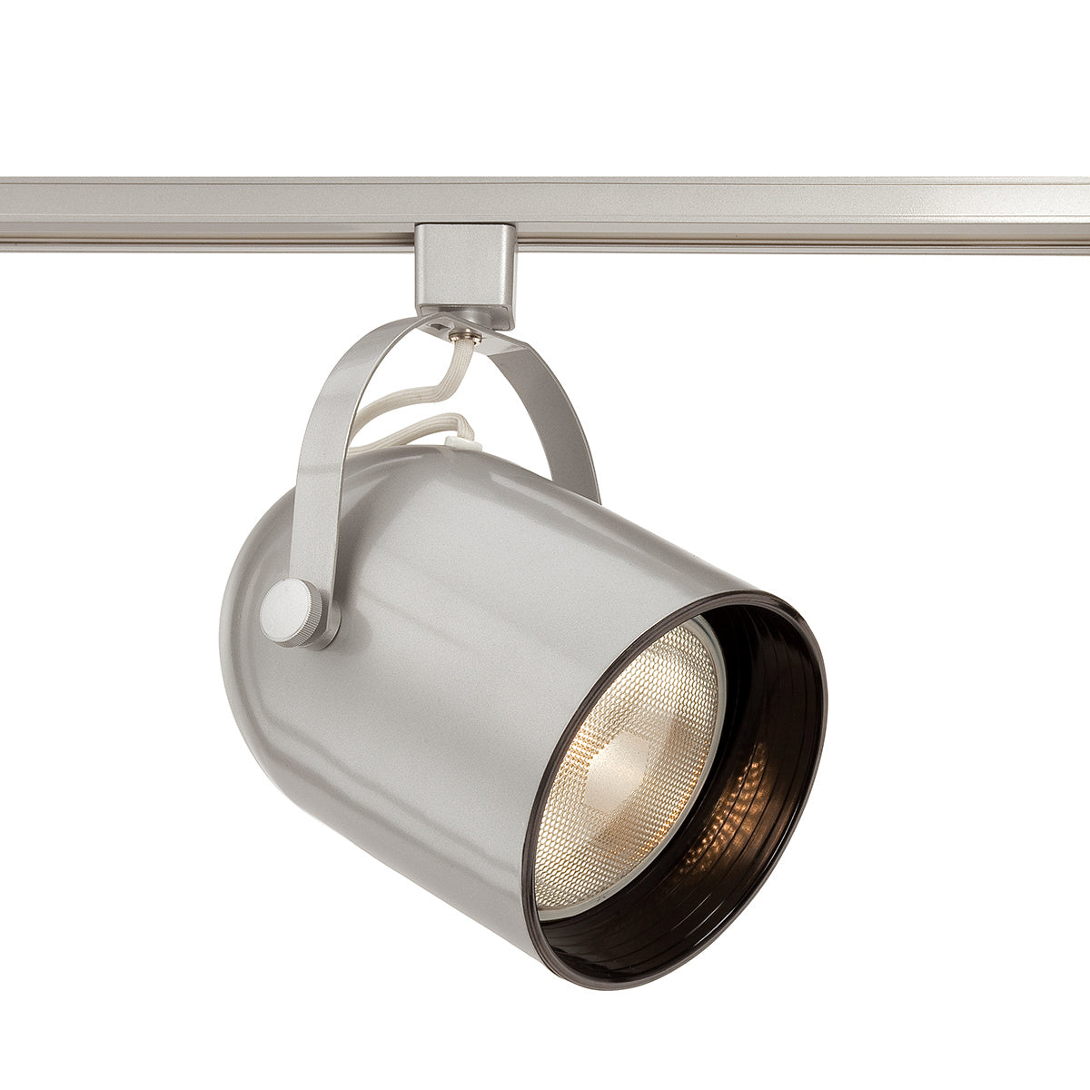 Eurofase - 23402-034 - TRACKHEAD,PAR30,75W,PLATINUM - TRACK HEAD - Platinum