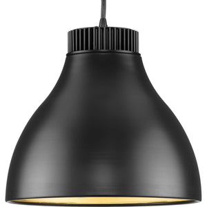 Progress Lighting - P500372-31M-30 - LED Pendant - Radian Led - Matte Black