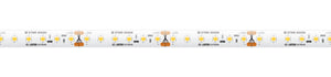 American Lighting - STMR-30-65 - LED Tape Light - Standard Grade Max Run - White