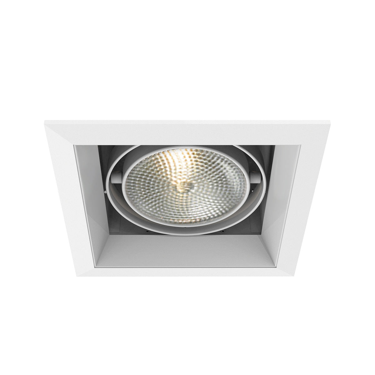 Eurofase - TE131-22 - MULT,PAR30,TRM,1LT,75W,WH/WHT - PAR30MULTI-GEN - White