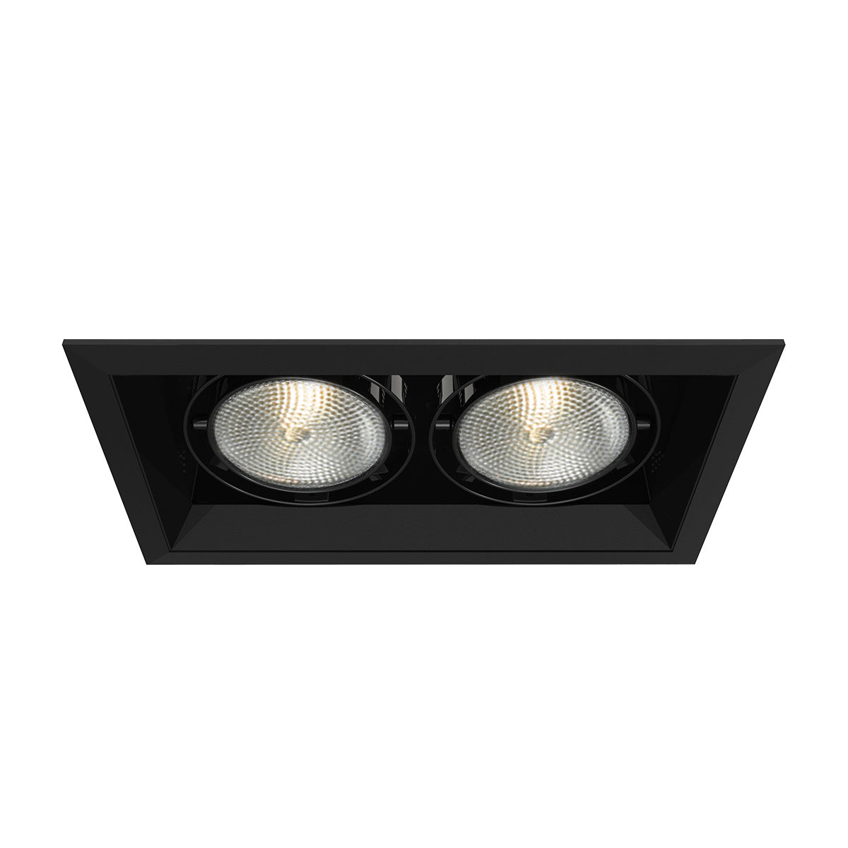 Eurofase - TE132-01 - MULT,PAR30,TRM,2LT,75W,BL/BLK - PAR30MULTI-GEN - Black