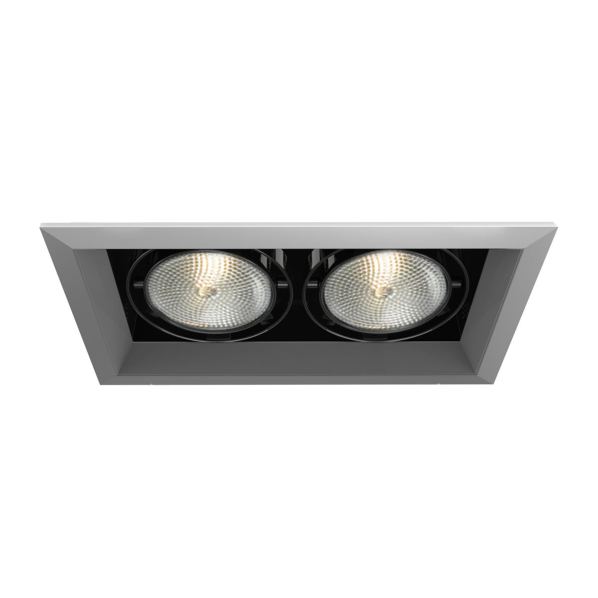 Eurofase - TE132-0N - Recessed - Platinum