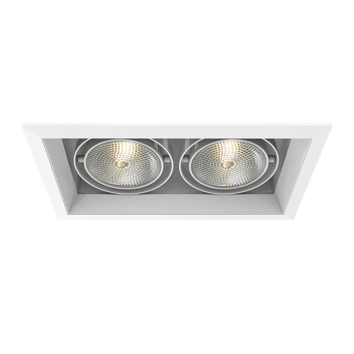 Eurofase - TE132-22 - MULT,PAR30,TRM,2LT,75W,WH/WHT - PAR30MULTI-GEN - White