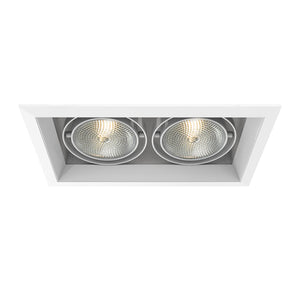 Eurofase - TE132-22 - MULT,PAR30,TRM,2LT,75W,WH/WHT - PAR30MULTI-GEN - White